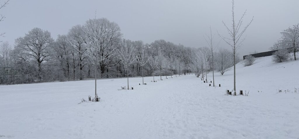 (c) 2026 - Florian Windeck