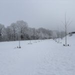 (c) 2026 - Florian Windeck