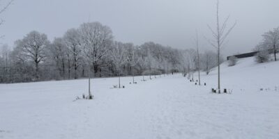 Schulausfall am Montag 12.01.2026