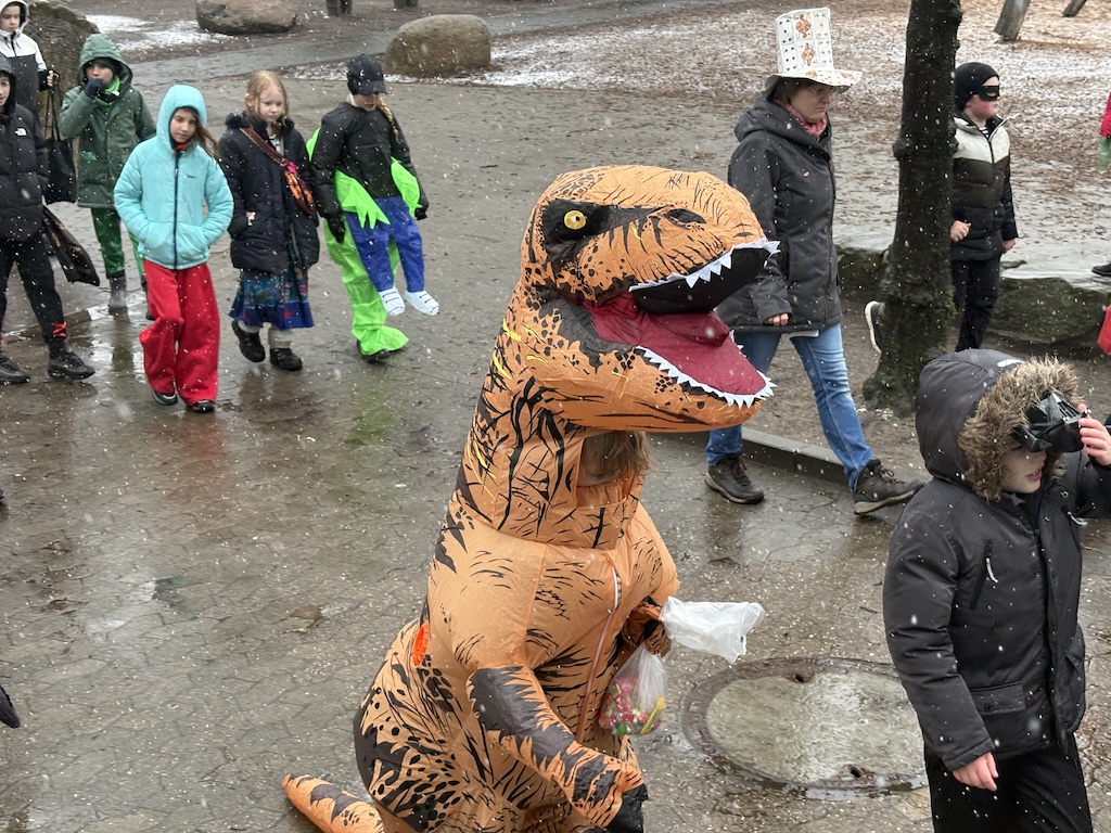 (c) 2026 - Florian Windeck